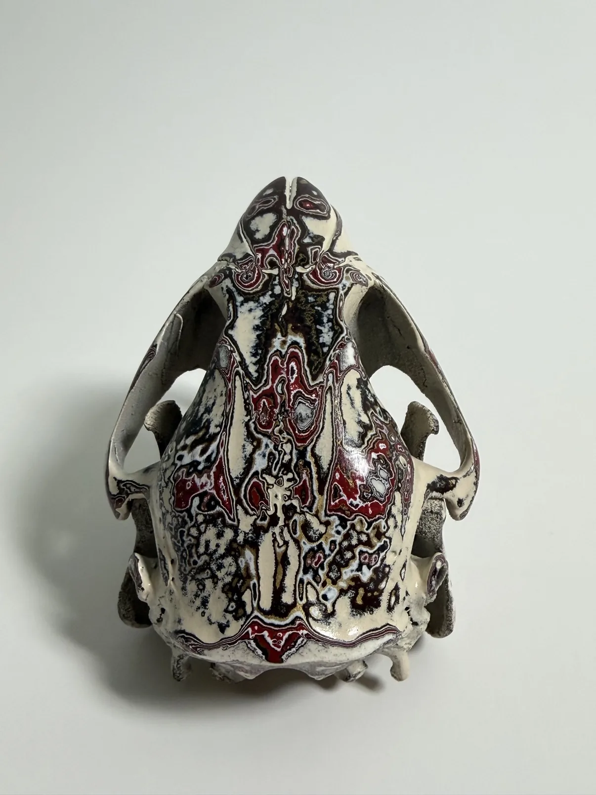 Close-up photograph of the top of my hand-painted beaver skull, showing the layered burgundy, red and black fordite pattern