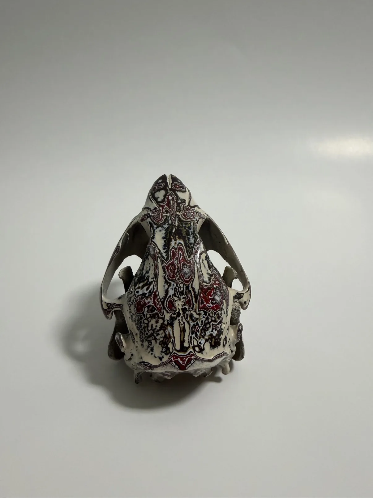 Photograph of my hand-painted beaver skull from above and behind, showing the layered burgundy, black and cream fordite finish