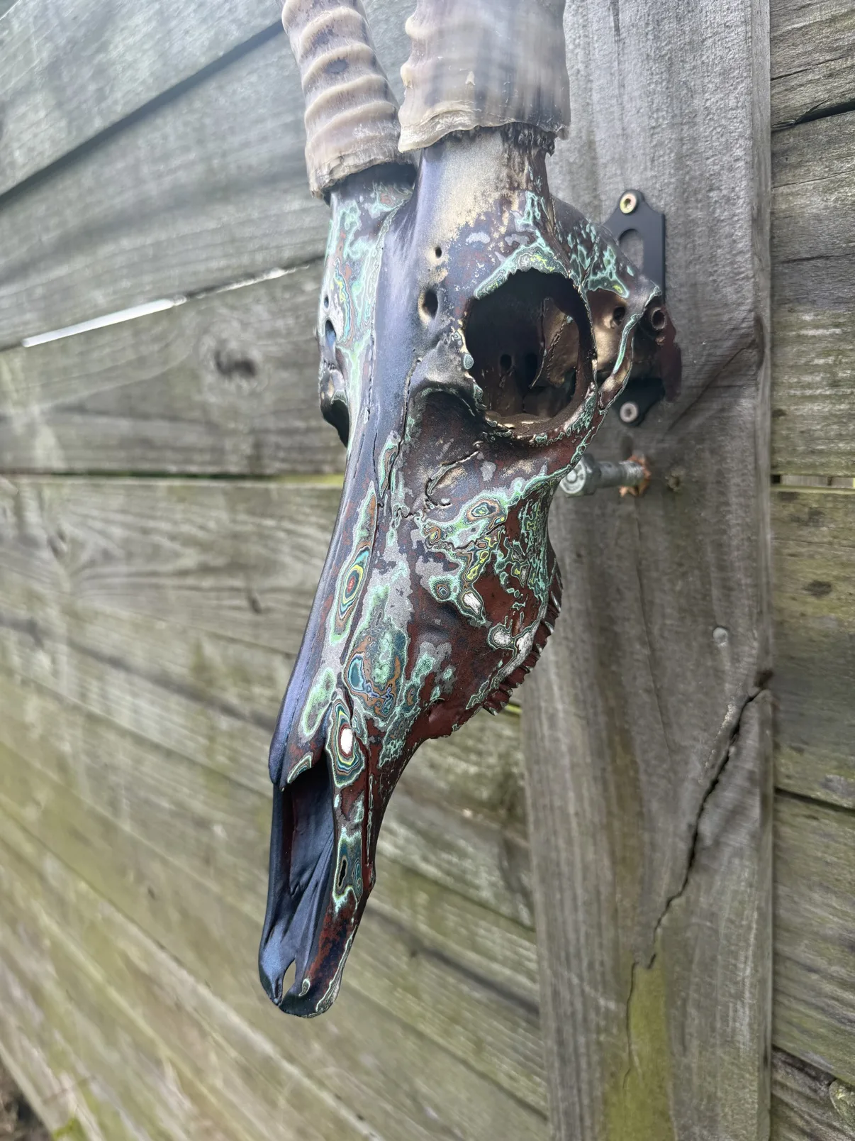 Close-up photograph of the side of my hand-painted blesbok skull, showing mint-green patina swirls over dark copper paint and the gold inside the eye socket