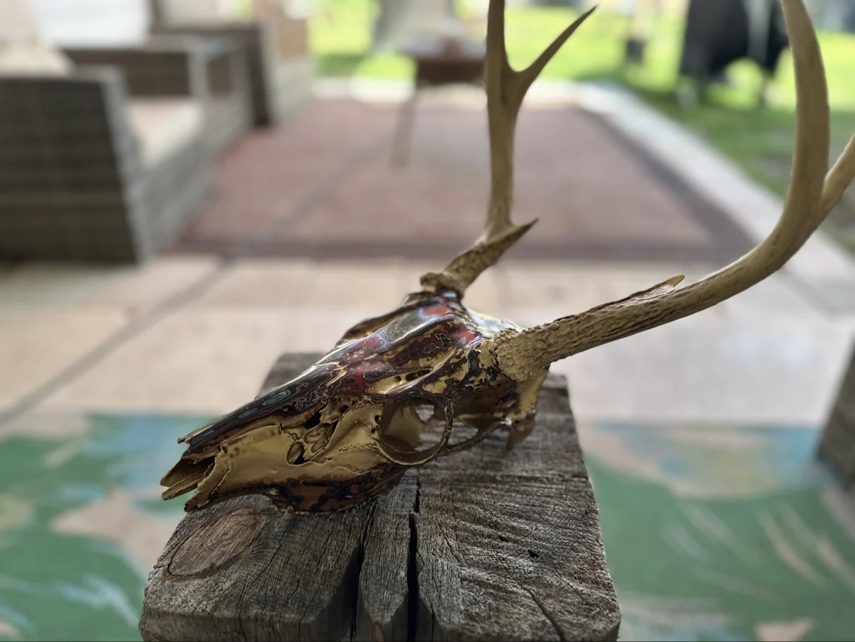 Photograph of my golden deer skull from the other side on a weathered wooden post, showing the eye socket and the gold and deep red layered finish