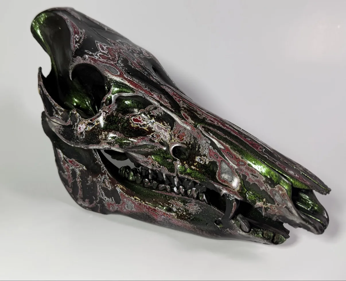 Hand painted feral hog skull, angled view