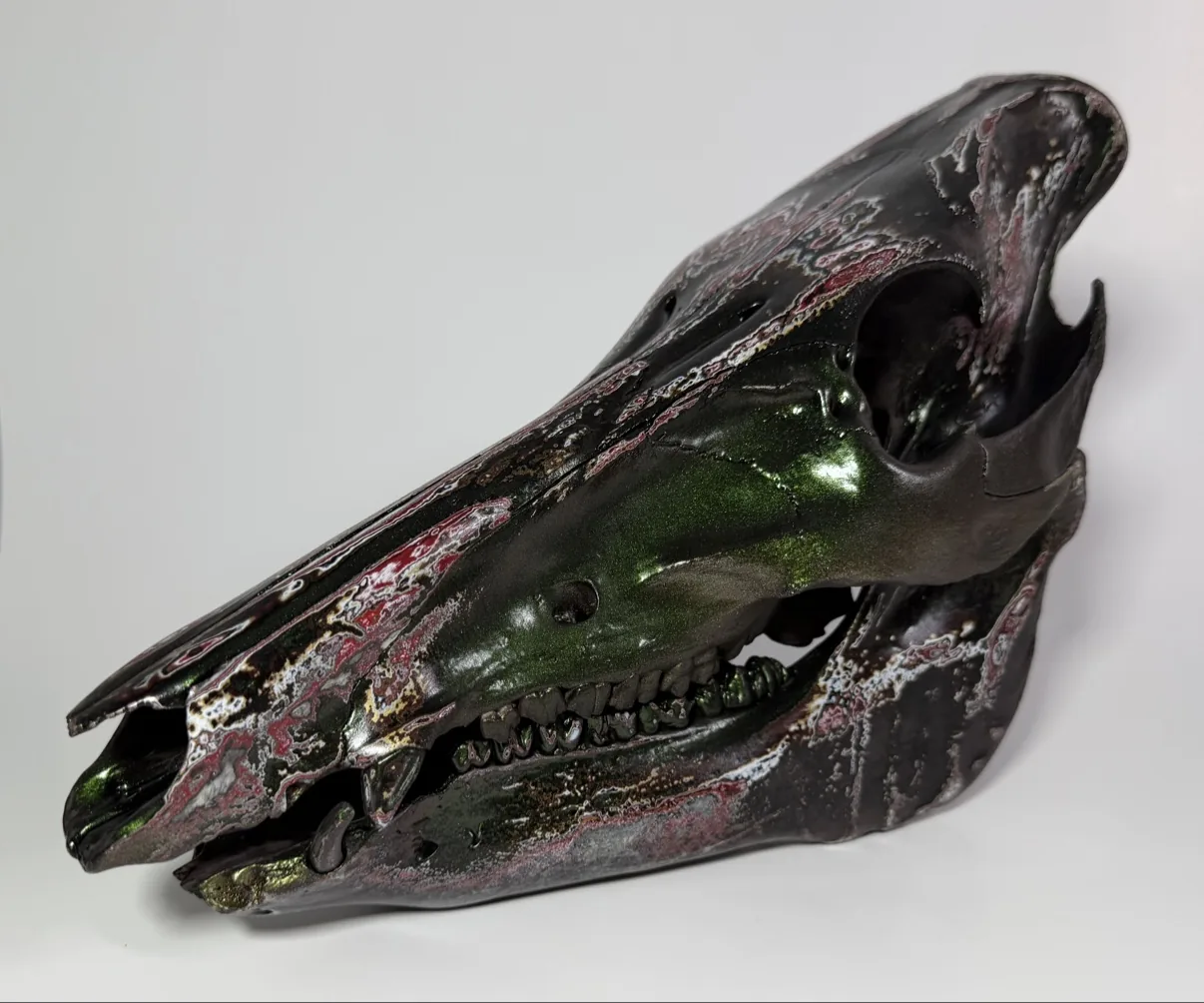 Photograph of my hand-painted feral hog skull from the side, metallic green cheek with black and burgundy fordite marbling along the long snout