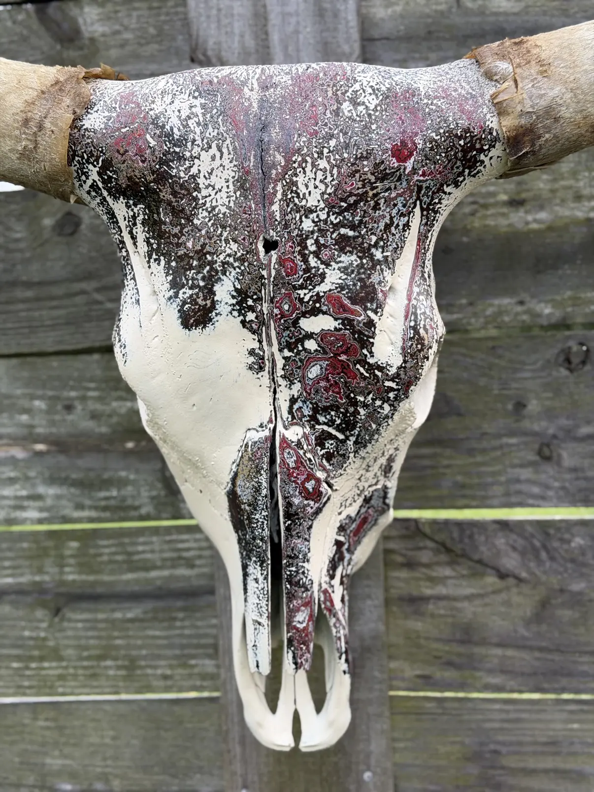 Close-up photograph of the front of my hand-painted longhorn cow skull, showing the burgundy, black and cream swirls of the layered fordite finish across the forehead