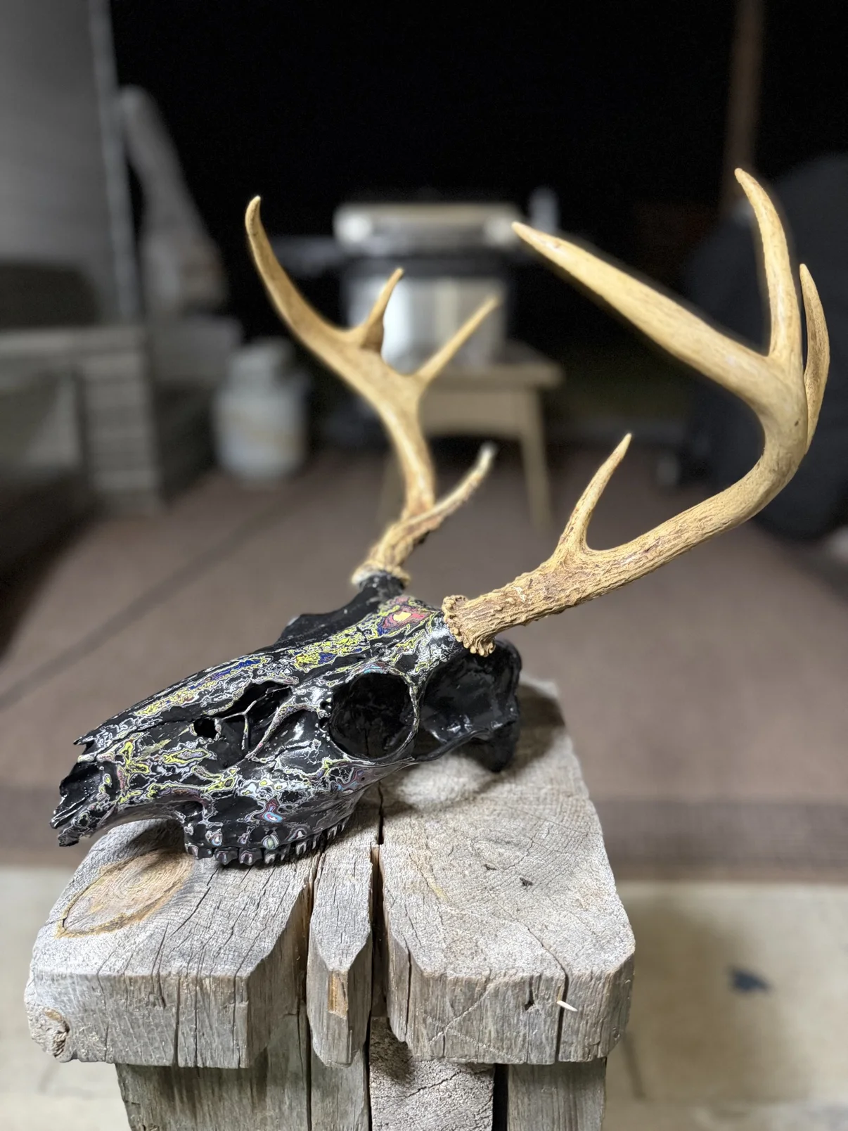 Photograph of my hand-painted deer skull from the side on a wooden post, glossy black finish with yellow, green and multicolor fordite accents and natural honey colored antlers