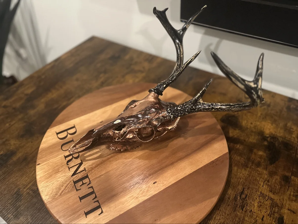 Photograph of my hand-painted deer skull from an angled view on a round wooden board, metallic copper and dark brown finish with black painted antlers