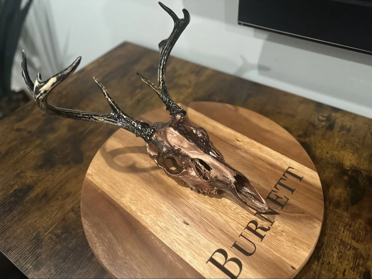 Photograph of my hand-painted deer skull from the side on a round wooden board, showing the profile of the metallic copper skull and the black painted antlers