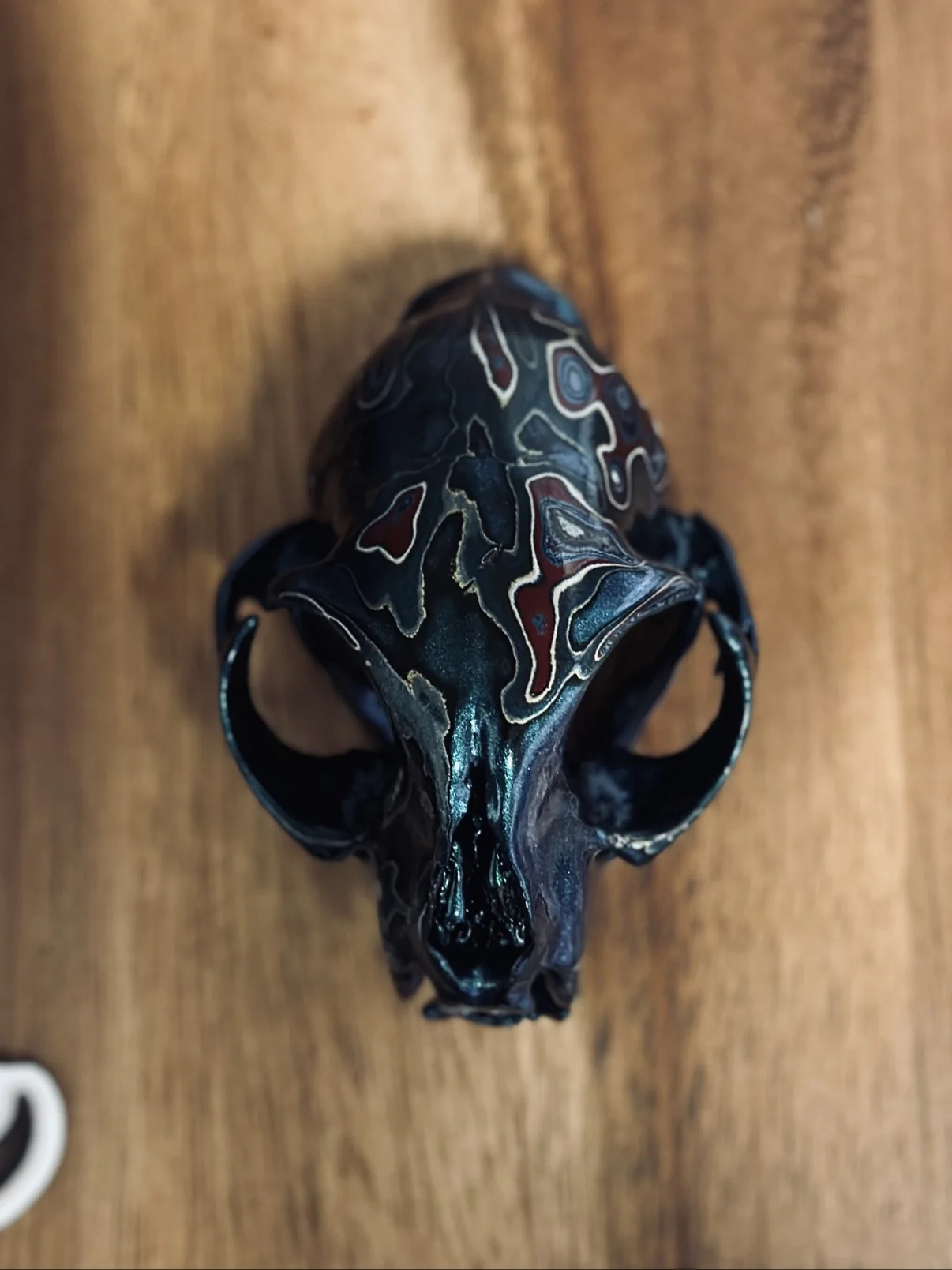Photograph of my small hand-painted animal skull from the front on a wooden board, dark teal and black finish with red and white fordite accents