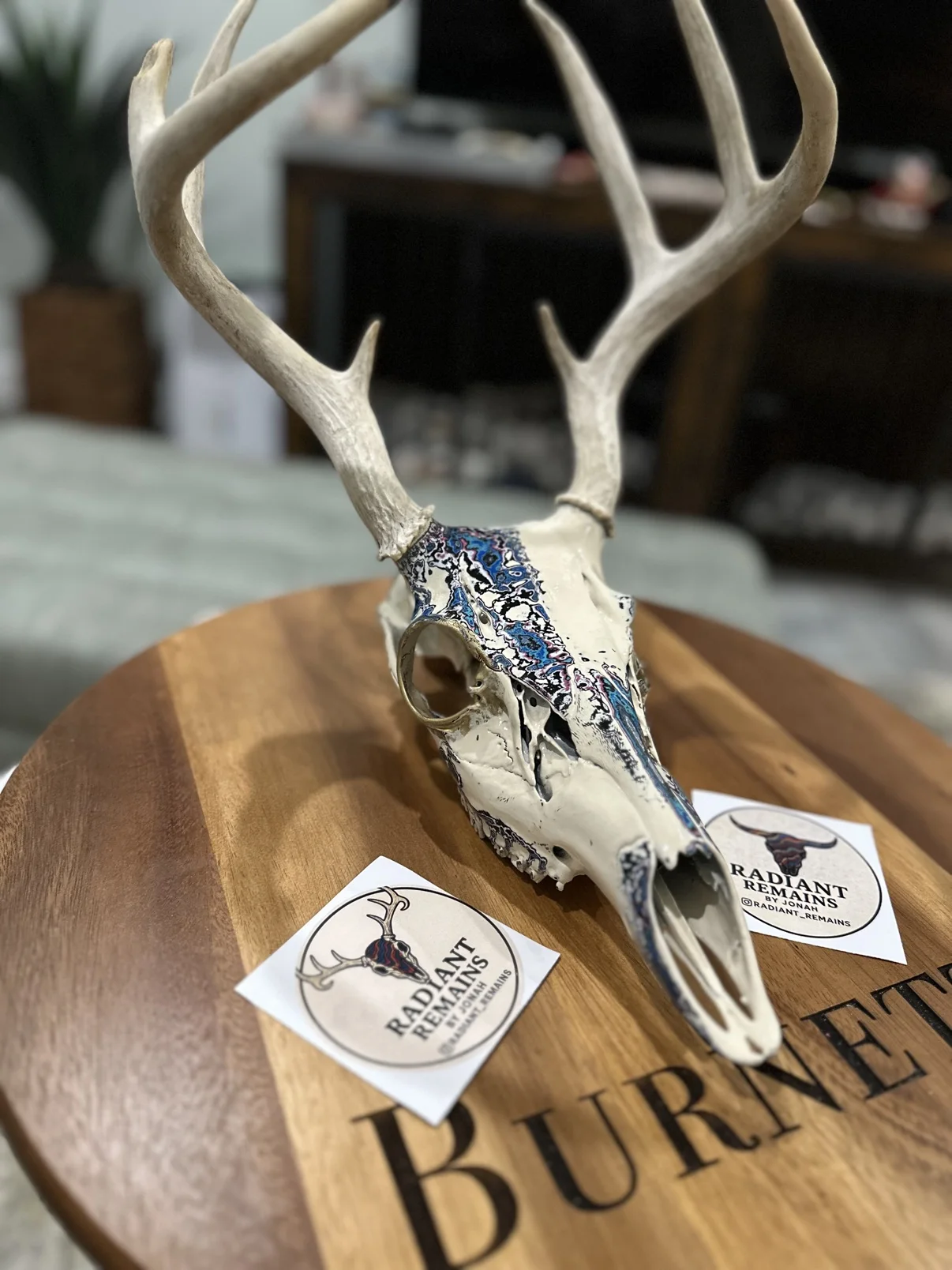 Photograph of my hand-painted whitetail deer skull from an angled view on a wooden board, cream bone with blue and black fordite patterning on top and natural antlers