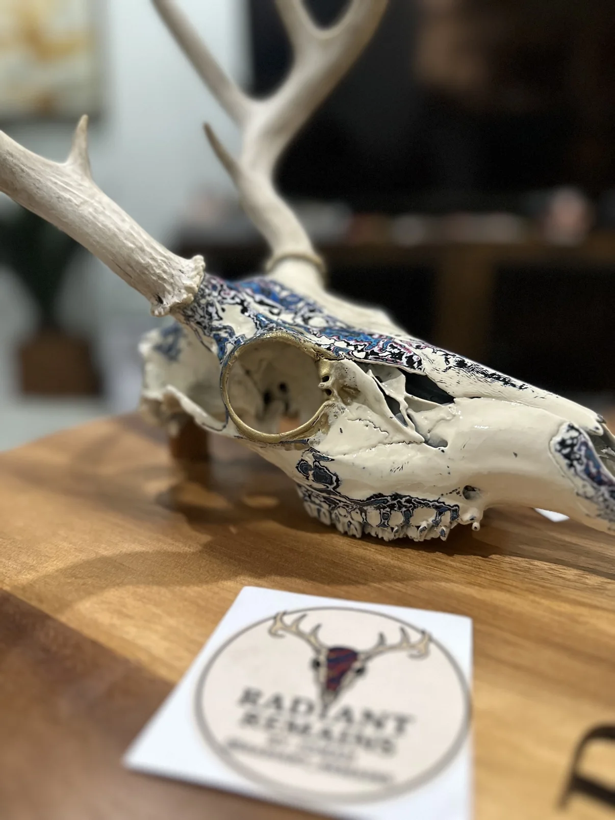 Photograph of my hand-painted whitetail deer skull from the side on a wooden board, showing the gold rimmed eye socket and the blue and black fordite patterning