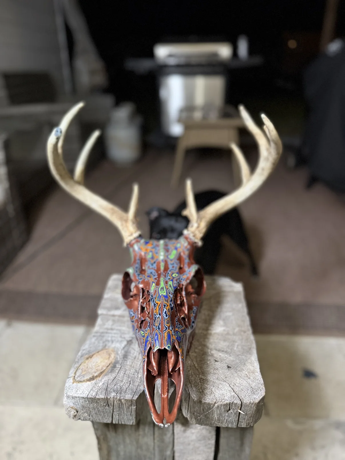 Photograph of my hand-painted whitetail deer skull from the front on a wooden post, copper and brown finish with bright blue, green and orange fordite patterning on top and natural antlers