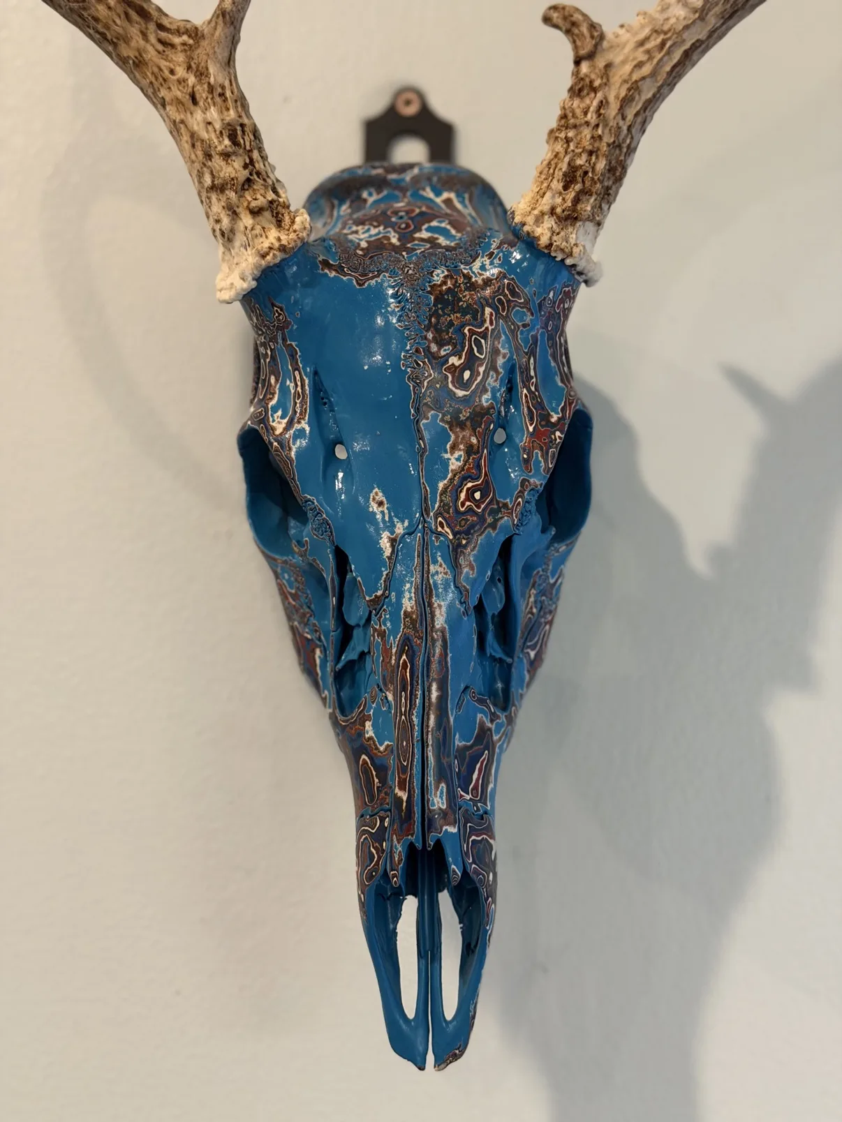 Close-up photograph of my blue hand-painted whitetail deer skull, showing the layered fordite-style finish in blue, copper, cream and rust